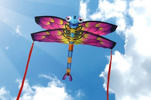 X-Kites Sky Bugz  Libelle